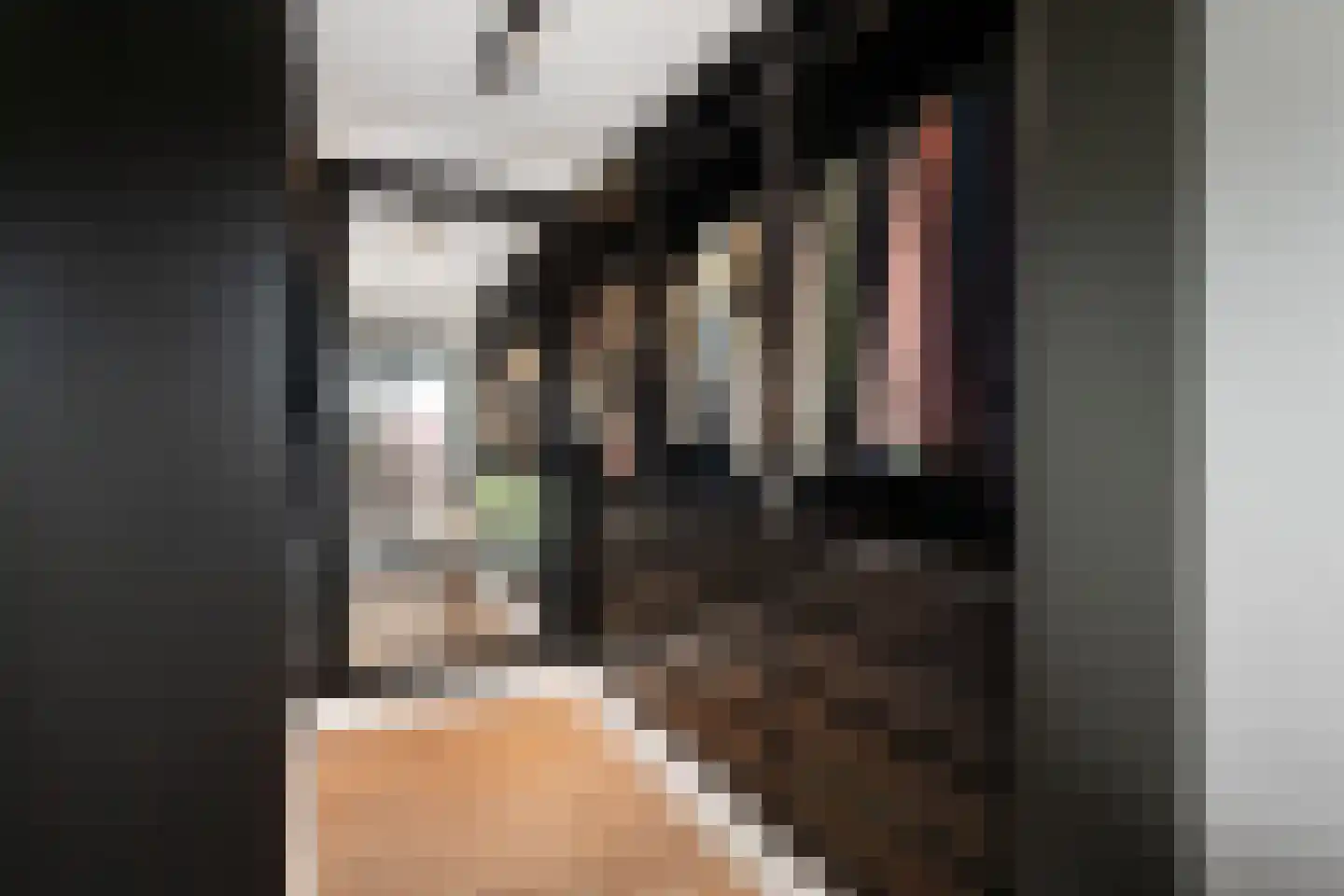 Aalscholver 4 Hendrik-Ido-Ambacht thumbnail 30