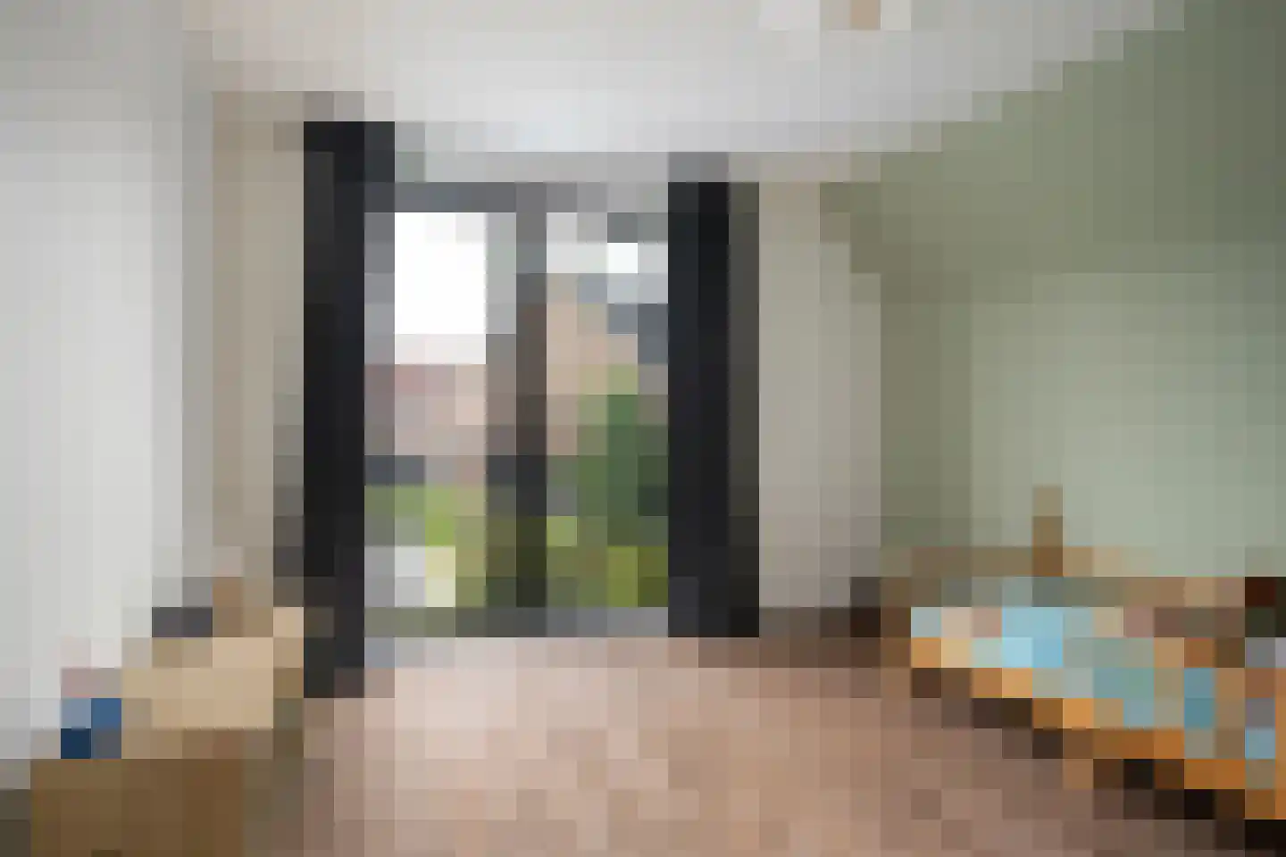 Aalscholver 4 Hendrik-Ido-Ambacht thumbnail 32