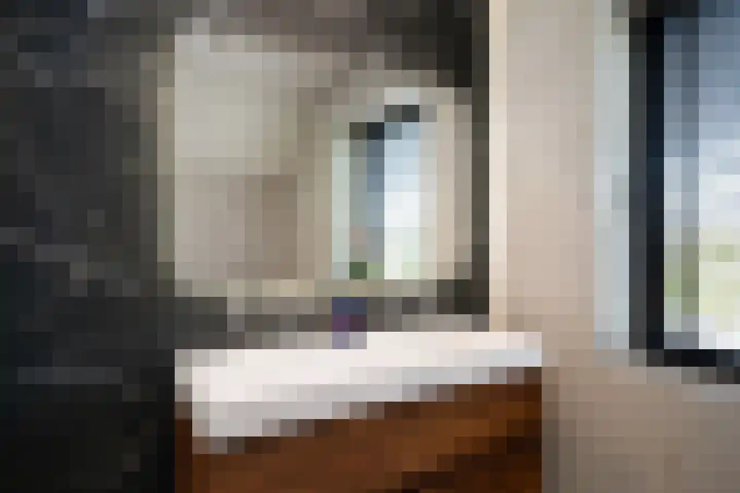 Aalscholver 4 Hendrik-Ido-Ambacht thumbnail 36