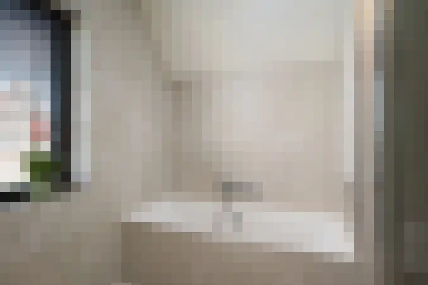 Aalscholver 4 Hendrik-Ido-Ambacht thumbnail 37