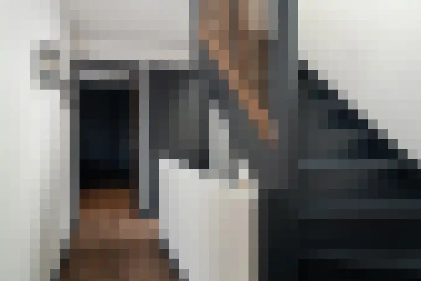 Aalscholver 4 Hendrik-Ido-Ambacht thumbnail 39