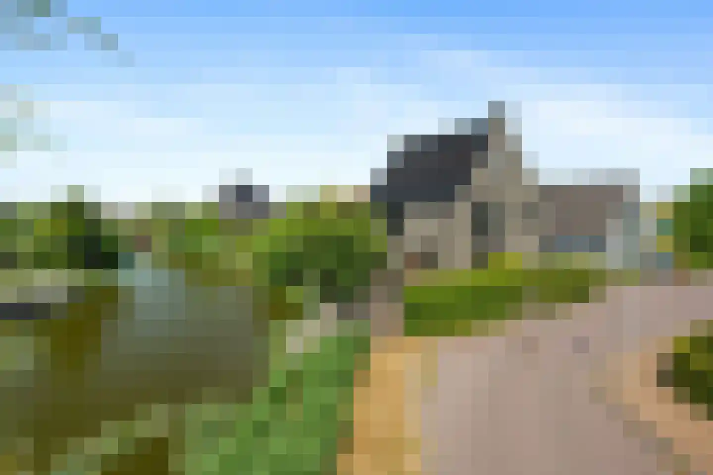 Aalscholver 4 Hendrik-Ido-Ambacht thumbnail 4