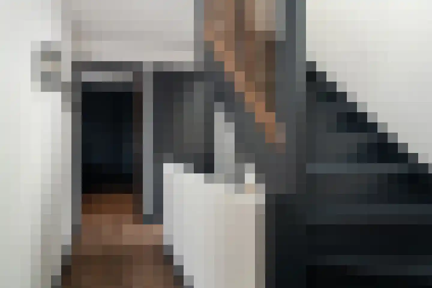 Aalscholver 4 Hendrik-Ido-Ambacht thumbnail 40
