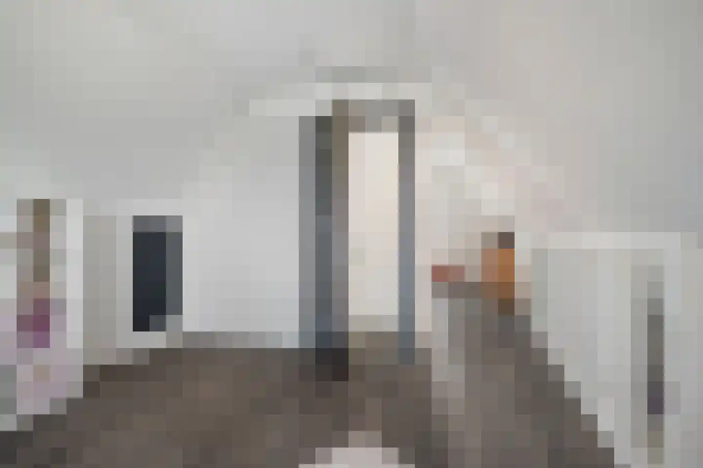Aalscholver 4 Hendrik-Ido-Ambacht thumbnail 41