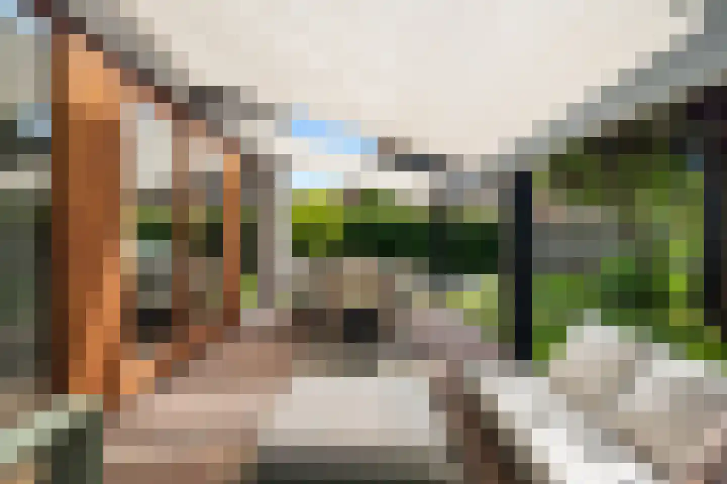 Aalscholver 4 Hendrik-Ido-Ambacht thumbnail 45