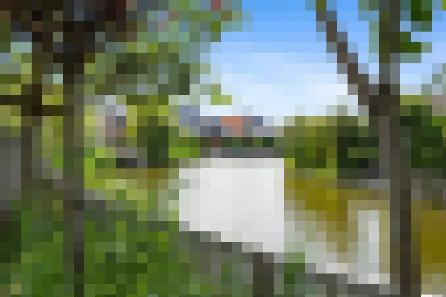 Aalscholver 4 Hendrik-Ido-Ambacht thumbnail 47