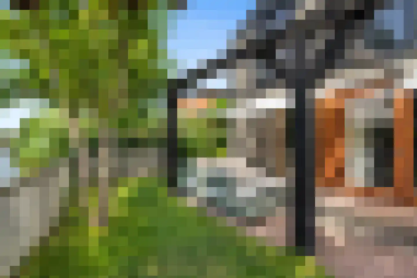 Aalscholver 4 Hendrik-Ido-Ambacht thumbnail 48