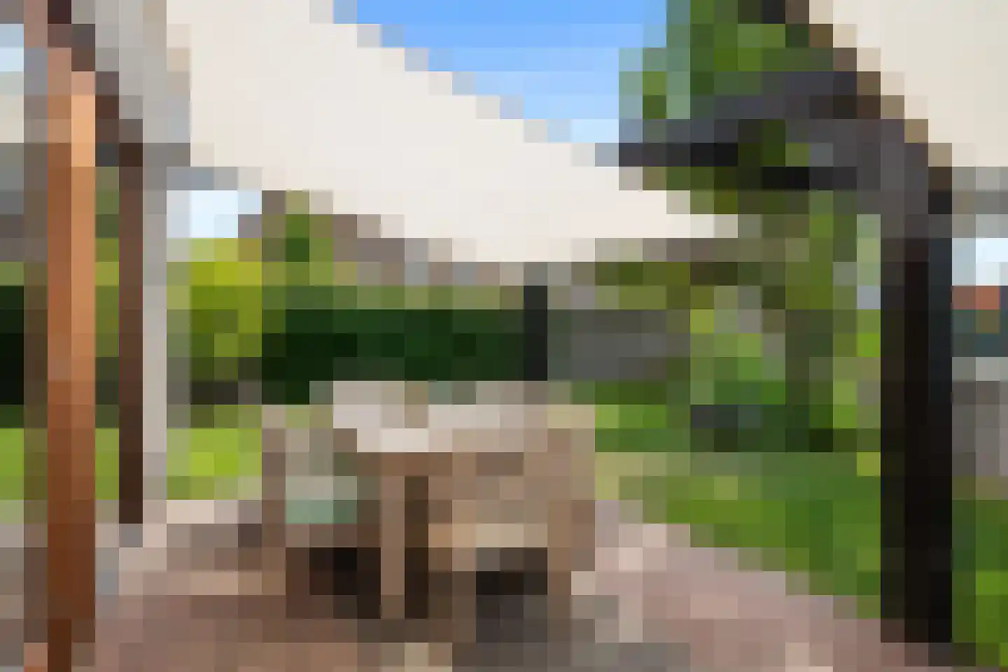 Aalscholver 4 Hendrik-Ido-Ambacht thumbnail 49