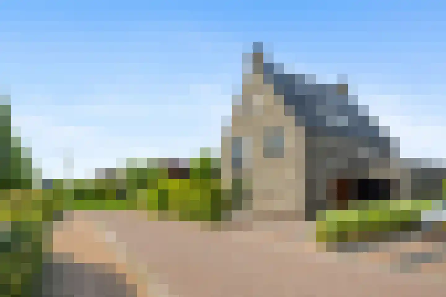 Aalscholver 4 Hendrik-Ido-Ambacht thumbnail 5