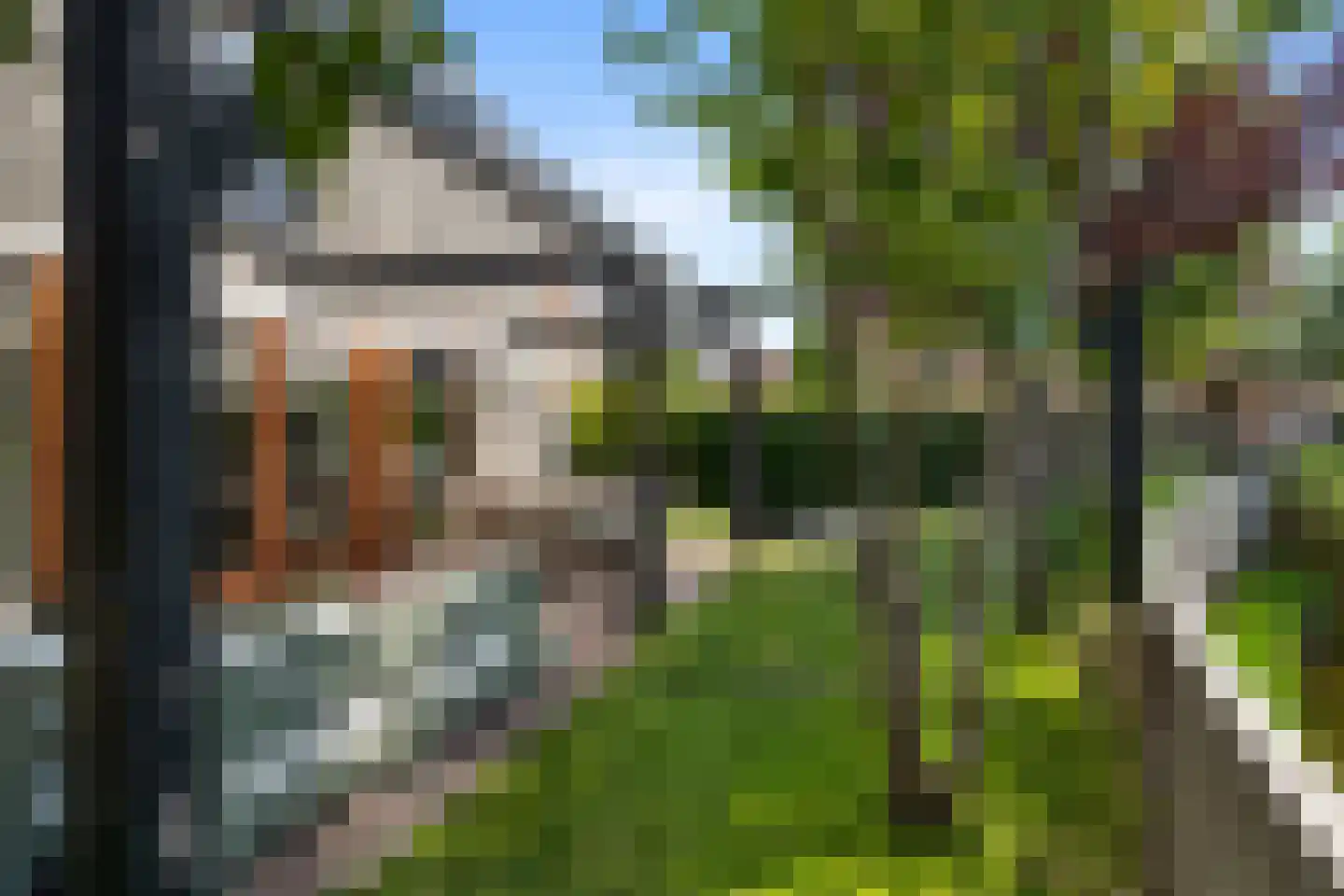 Aalscholver 4 Hendrik-Ido-Ambacht thumbnail 50