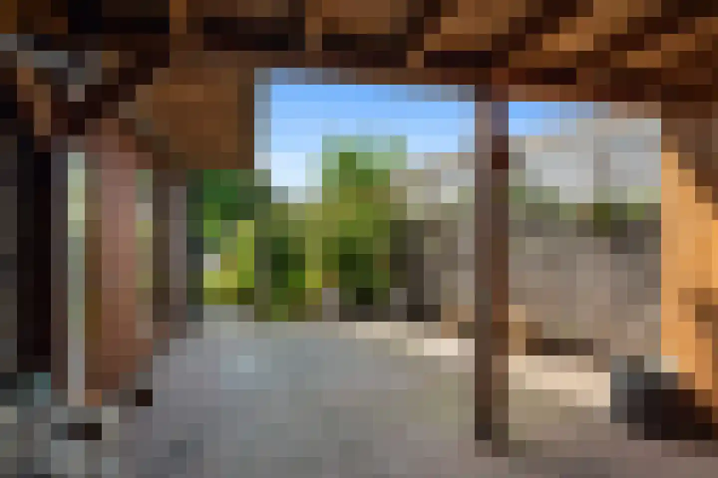 Aalscholver 4 Hendrik-Ido-Ambacht thumbnail 54