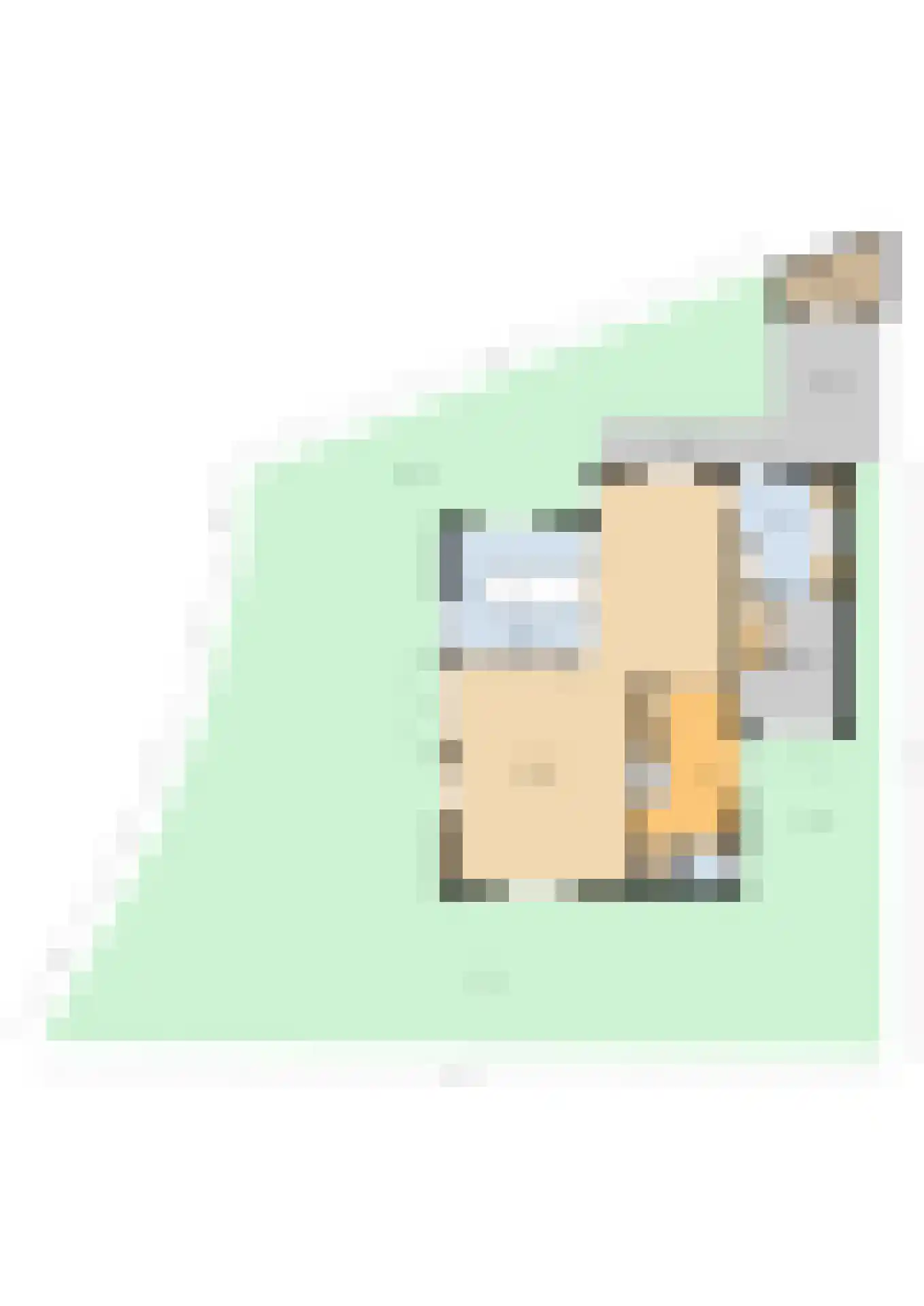 Aalscholver 4 Hendrik-Ido-Ambacht thumbnail 56