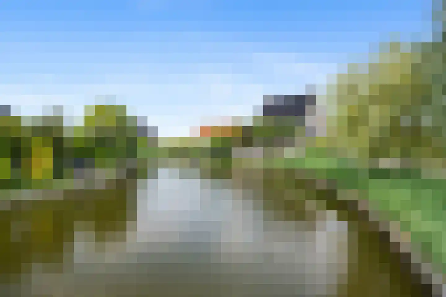 Aalscholver 4 Hendrik-Ido-Ambacht thumbnail 56