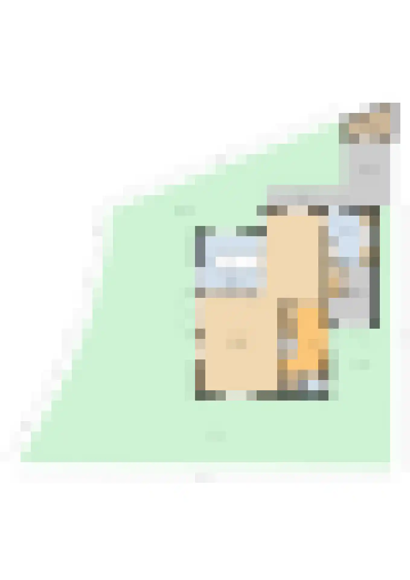 Aalscholver 4 Hendrik-Ido-Ambacht thumbnail 57