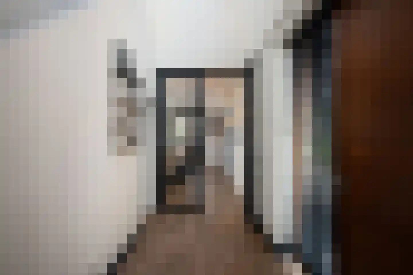 Aalscholver 4 Hendrik-Ido-Ambacht thumbnail 8