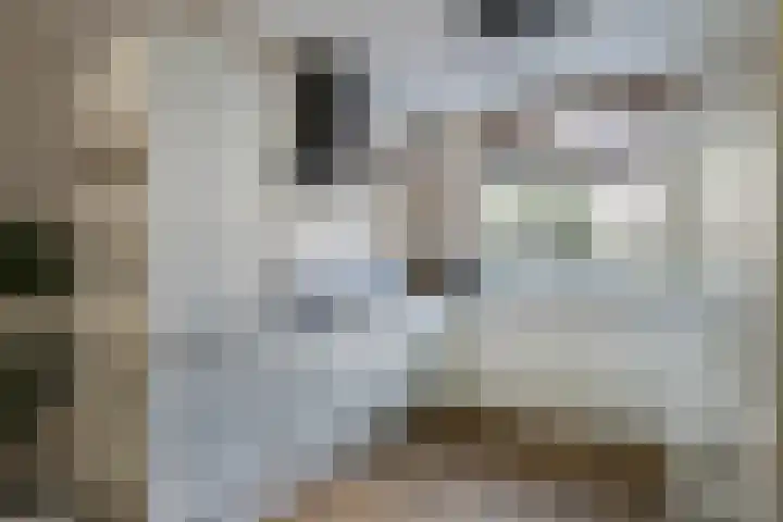 Aalscholver 45 Hendrik-Ido-Ambacht thumbnail 10