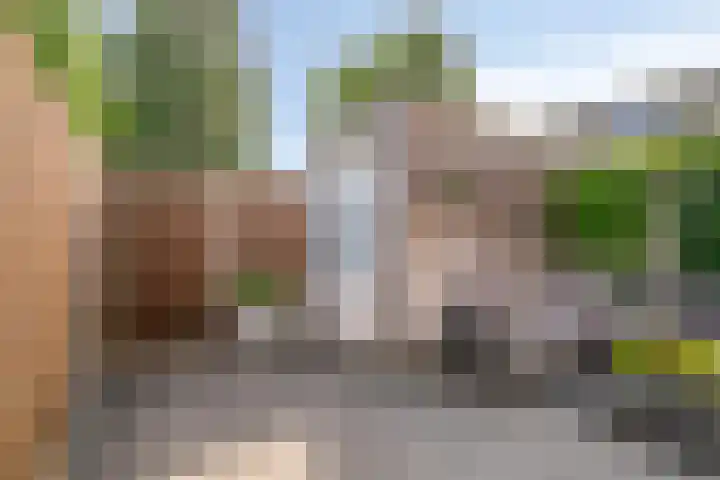 Aalscholver 45 Hendrik-Ido-Ambacht thumbnail 30