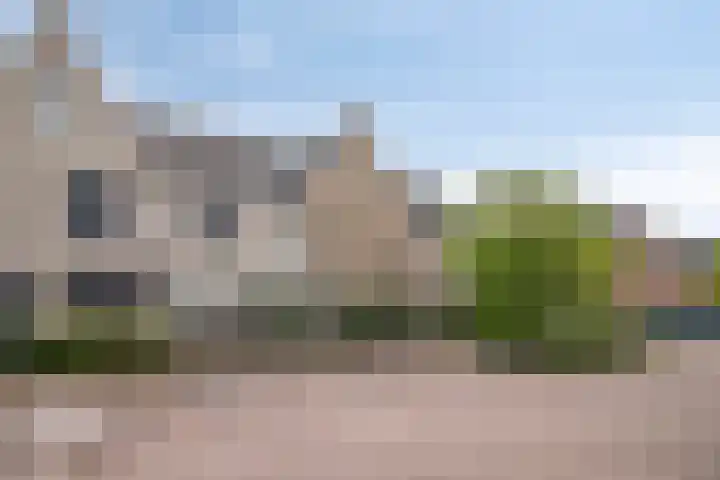 Aalscholver 45 Hendrik-Ido-Ambacht thumbnail 37