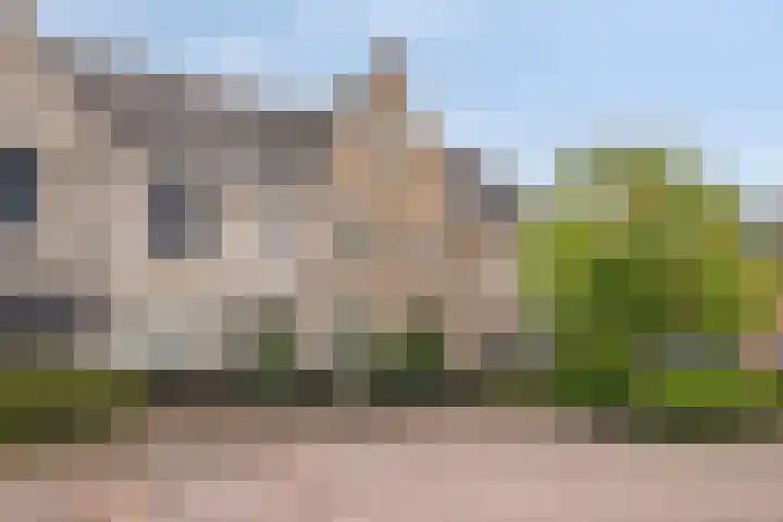 Aalscholver 45 Hendrik-Ido-Ambacht thumbnail 4