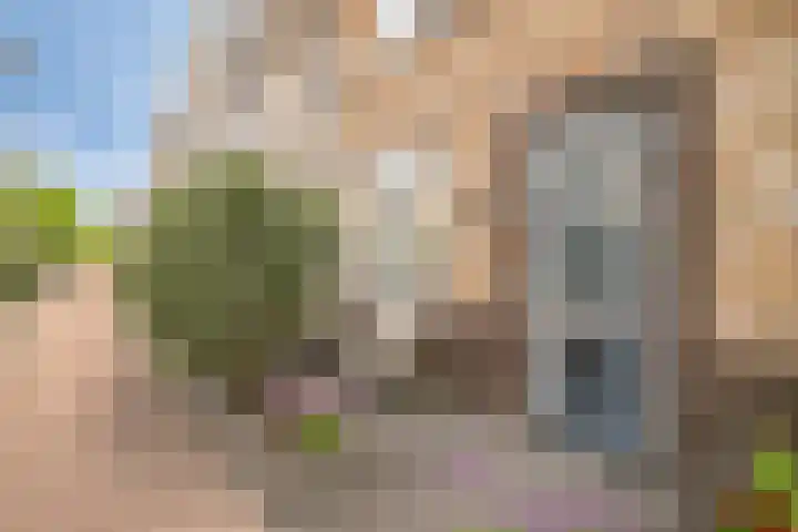Aalscholver 45 Hendrik-Ido-Ambacht thumbnail 5