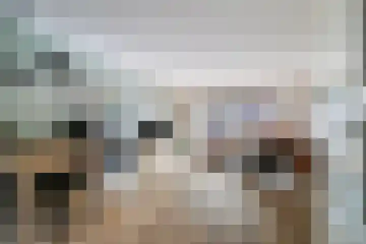 Aalscholver 45 Hendrik-Ido-Ambacht thumbnail 8