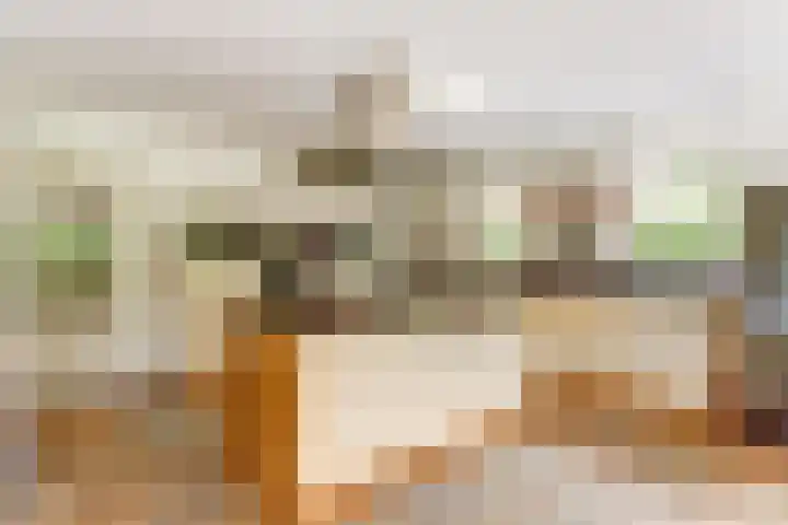 Aalscholver 5 Broek op Langedijk thumbnail 18
