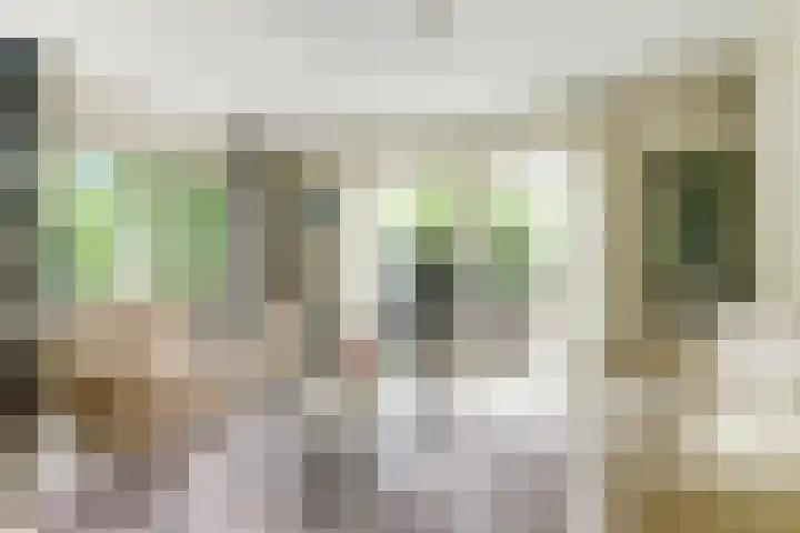 Aalscholver 5 Broek op Langedijk thumbnail 22