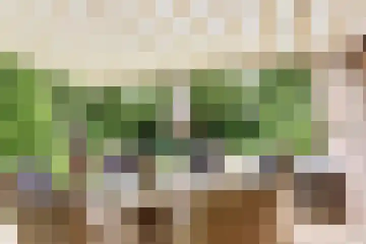 Aalscholver 5 Broek op Langedijk thumbnail 23