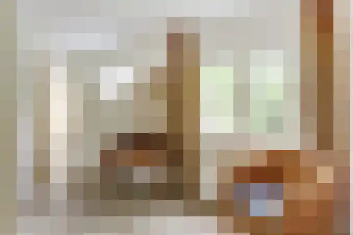 Aalscholver 5 Broek op Langedijk thumbnail 27