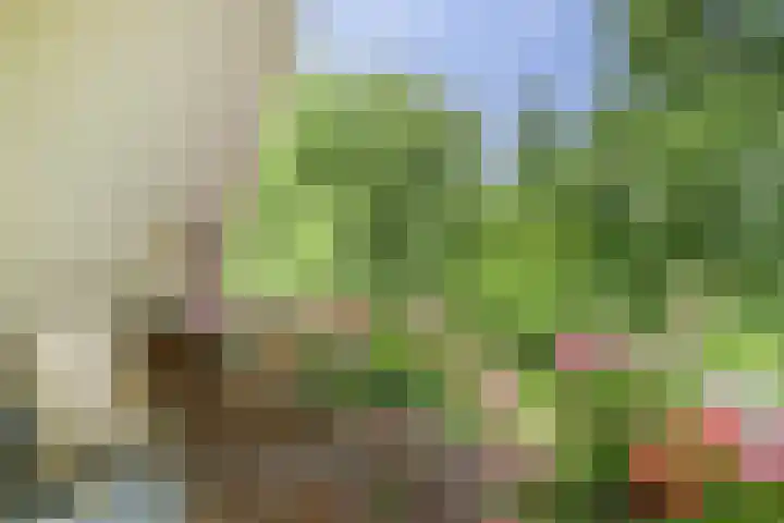 Aalscholver 5 Broek op Langedijk thumbnail 30