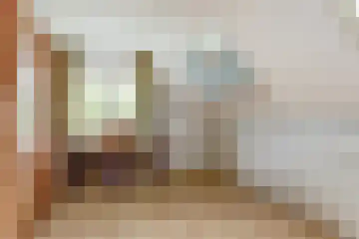Aalscholver 5 Broek op Langedijk thumbnail 40