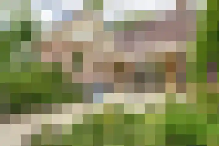 Aalscholver 5 Broek op Langedijk thumbnail 64
