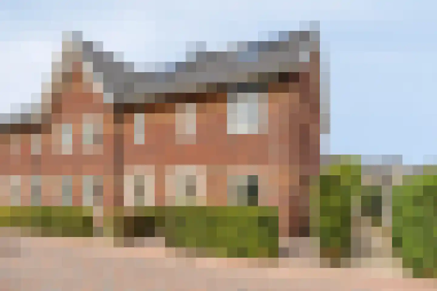 Aalscholver 7 in Veenendaal