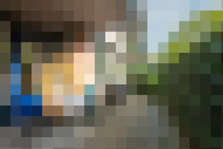 Aalscholver 7 Driebergen-Rijsenburg thumbnail 13