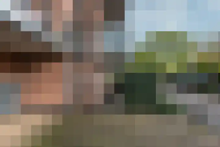 Aalscholver 7 Driebergen-Rijsenburg thumbnail 16