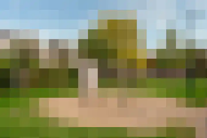 Aalscholver 7 Driebergen-Rijsenburg thumbnail 32