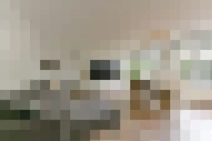 Aalscholver 7 Driebergen-Rijsenburg thumbnail 5