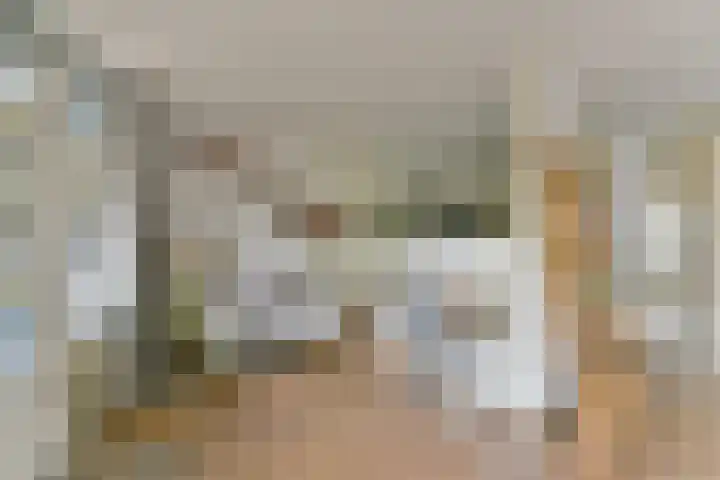 Aalscholver 7 Driebergen-Rijsenburg thumbnail 7