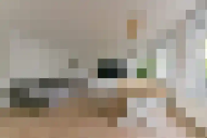 Aalscholver 7 Driebergen-Rijsenburg thumbnail 8