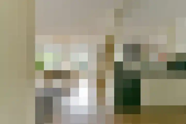 Aalscholver 7 Driebergen-Rijsenburg thumbnail 9