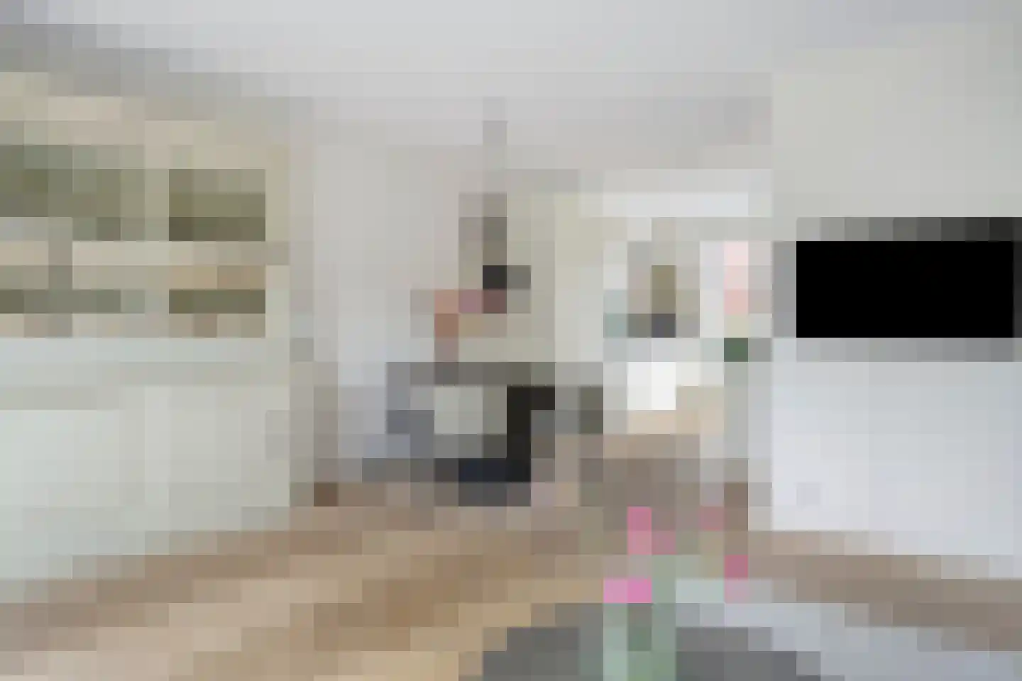 Aalscholver 7 Veenendaal thumbnail 11