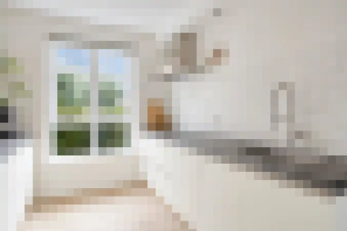 Aalscholver 7 Veenendaal thumbnail 13