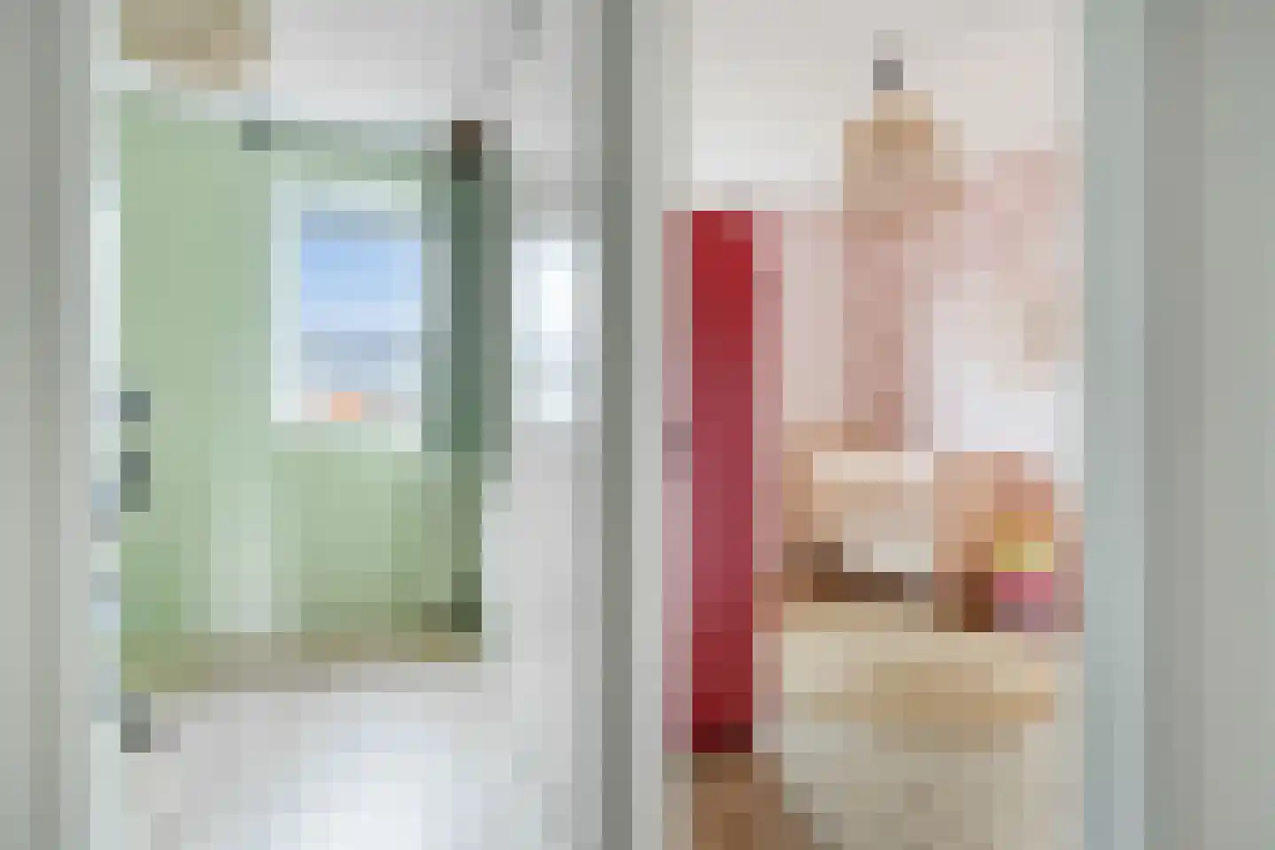 Aalscholver 7 Veenendaal thumbnail 20