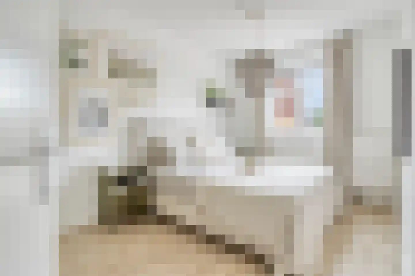 Aalscholver 7 Veenendaal thumbnail 22