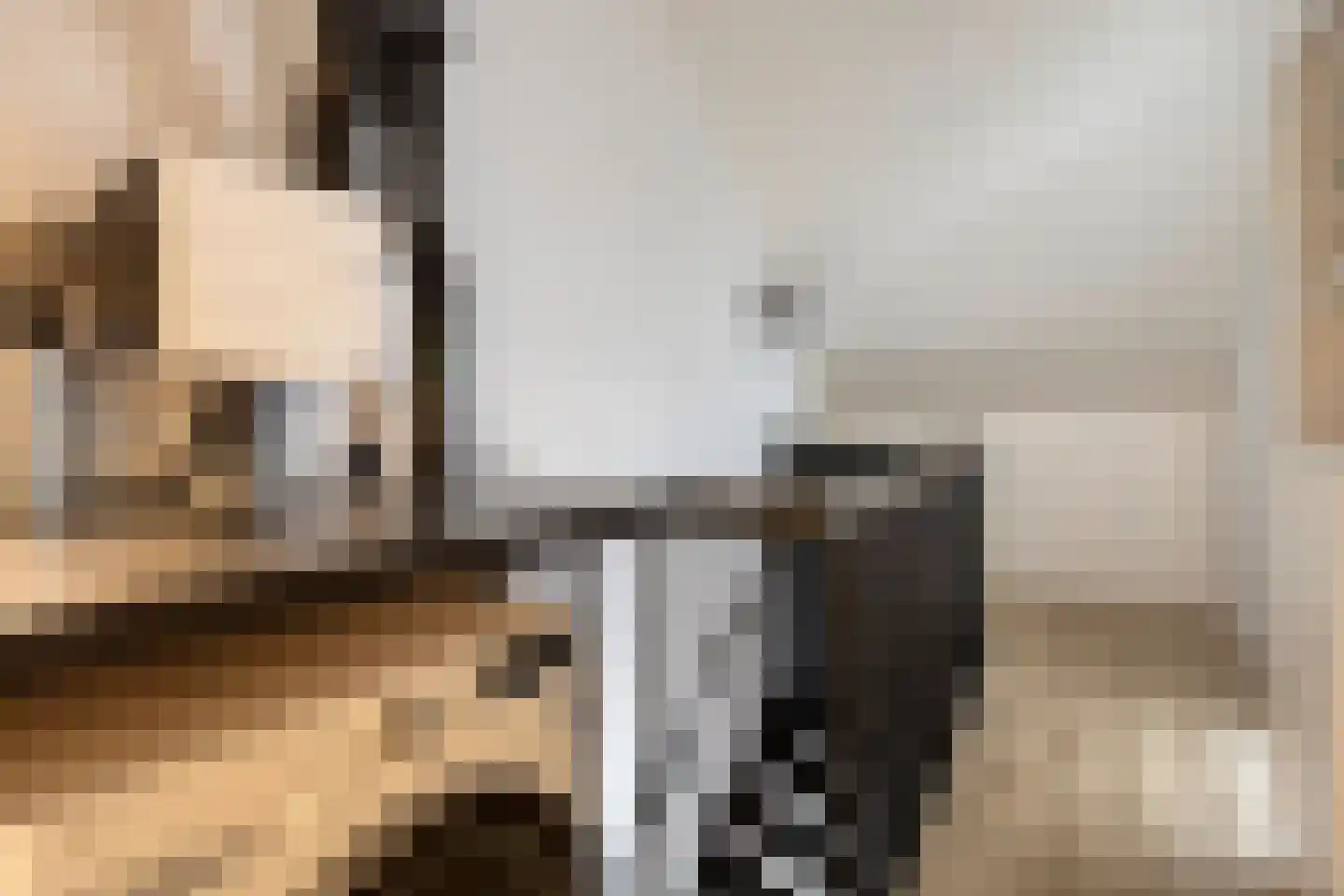 Aalscholver 7 Veenendaal thumbnail 30