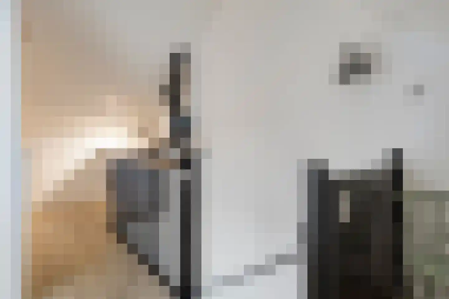 Aalscholver 7 Veenendaal thumbnail 31