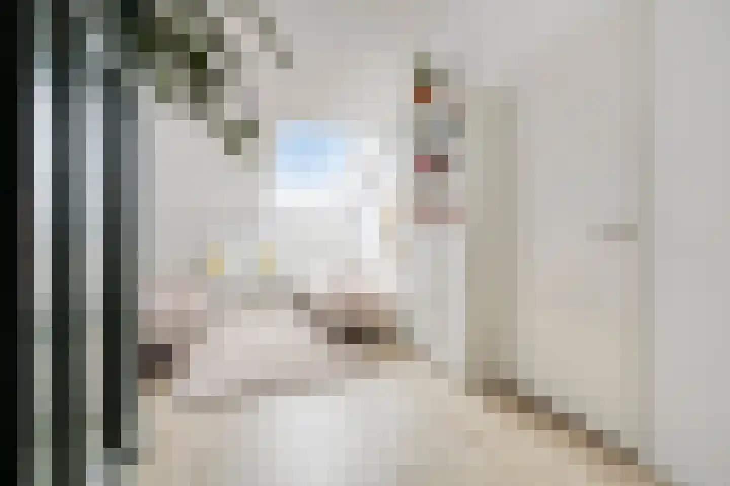 Aalscholver 7 Veenendaal thumbnail 32