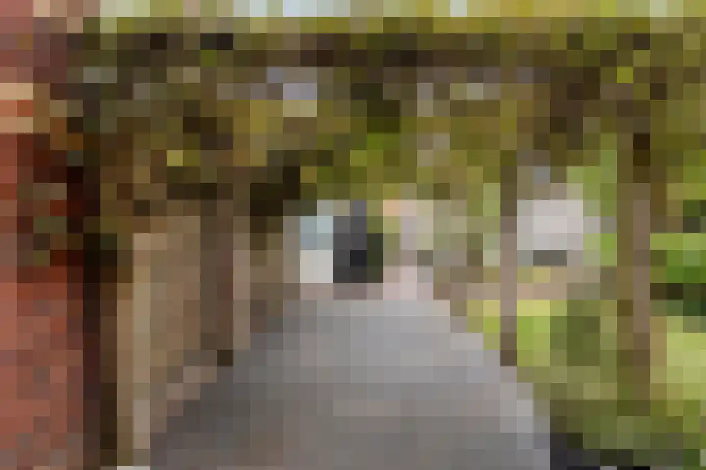 Aalscholver 7 Veenendaal thumbnail 35
