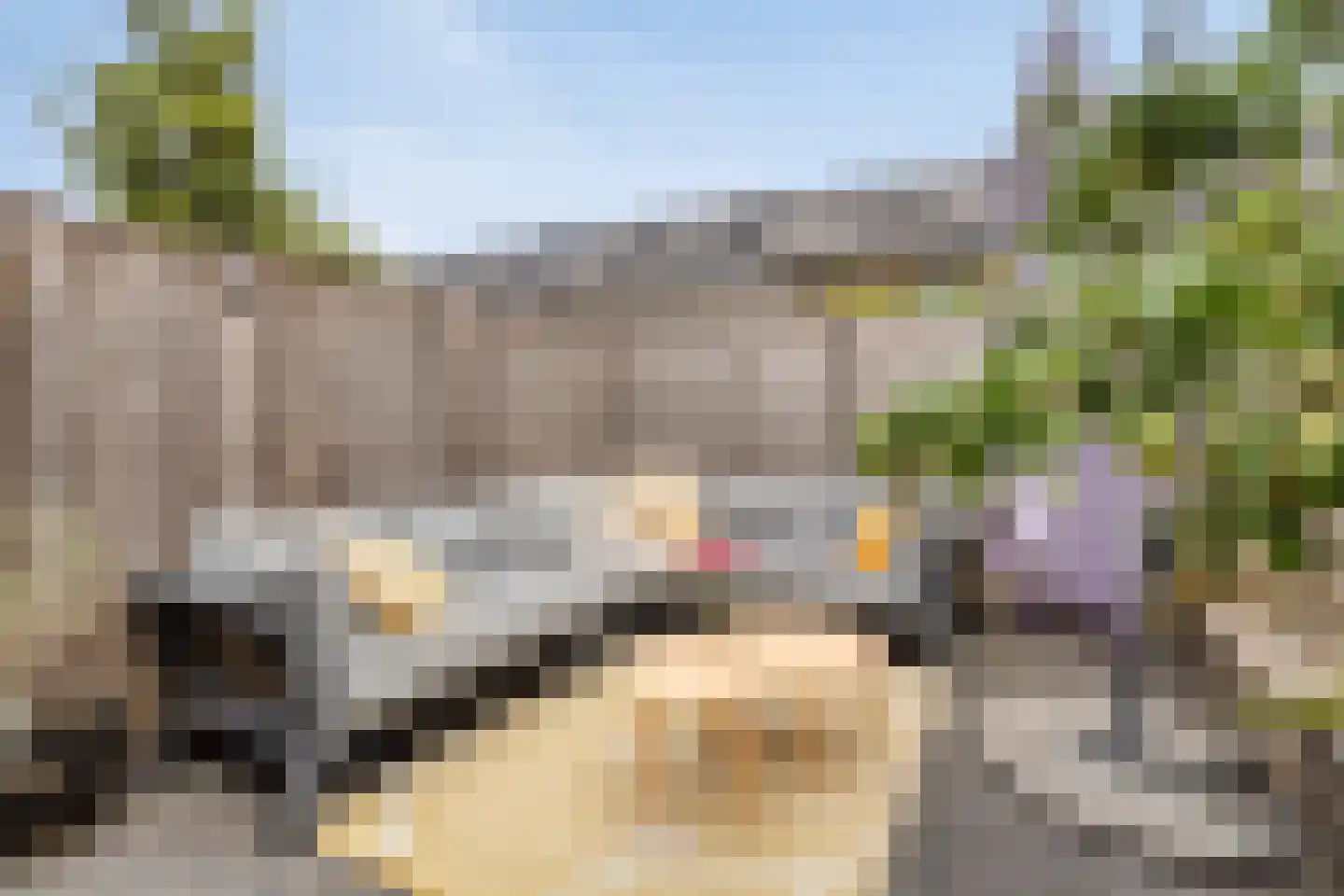 Aalscholver 7 Veenendaal thumbnail 36