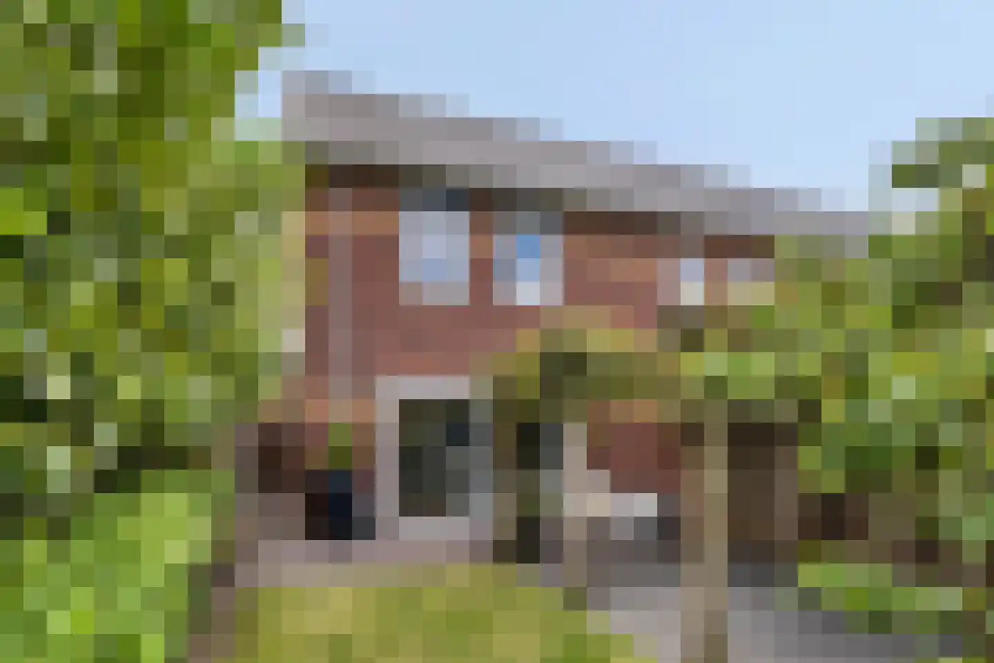 Aalscholver 7 Veenendaal thumbnail 38